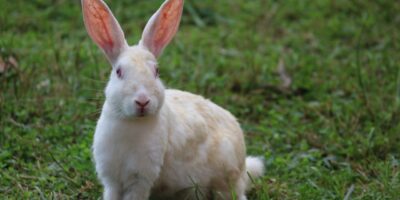 a68918c0 9037 4374 aa2d 4d635719df69