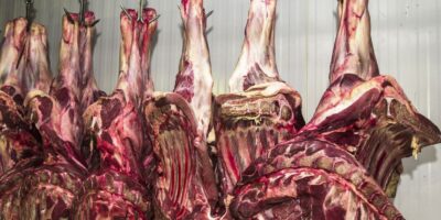 carne fresca,açougues, frigoríficos, alimento