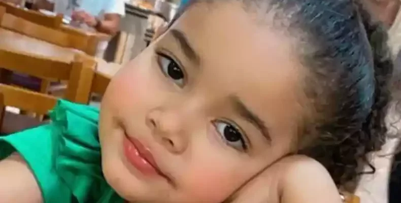 heloisa dos santos silva