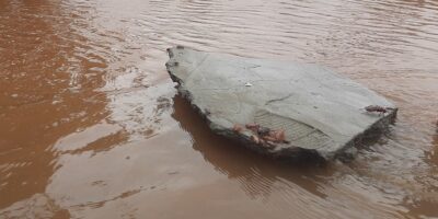 baratas @geminiano 02