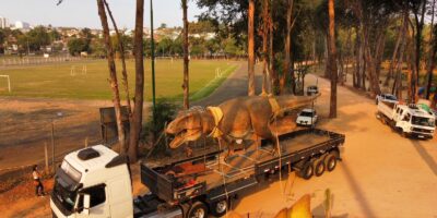 whatsapp image 2024 08 22 at 18.43.31