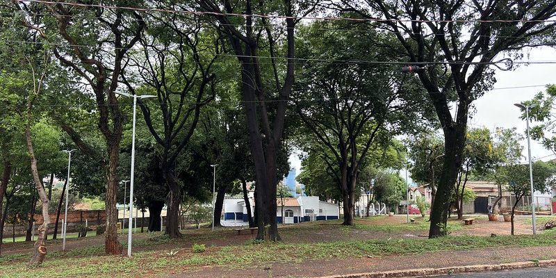 54092773900 05ba6a9893 c