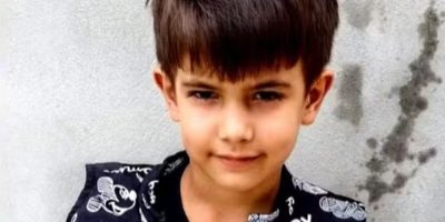 menino de 6 anos morre após ser picado por abelha
