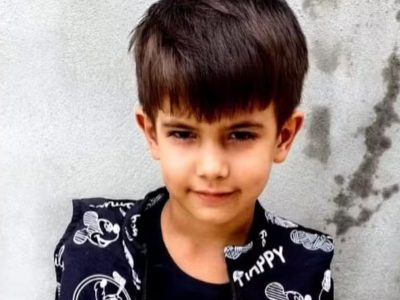 menino de 6 anos morre após ser picado por abelha