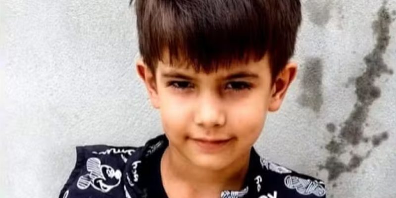 menino de 6 anos morre após ser picado por abelha