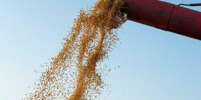 preodasojacainointeriordoparanapssequnciadealtanaltimasemana 0711824001730096143.jpeg