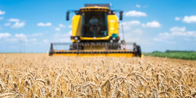 preodasojaemalta 0224564001729752305.avif