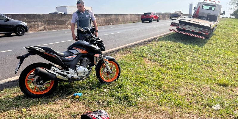 whatsapp image 2024 10 17 at 16.05.40