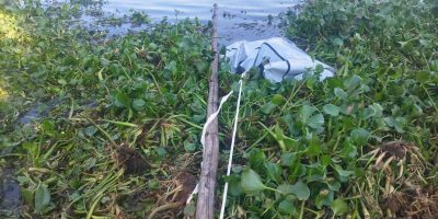 a5590e5a 1c9f 4381 be19 2f15bf2bdcf2