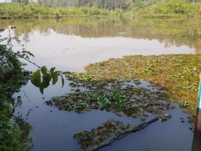 daae captacao eta 1 01