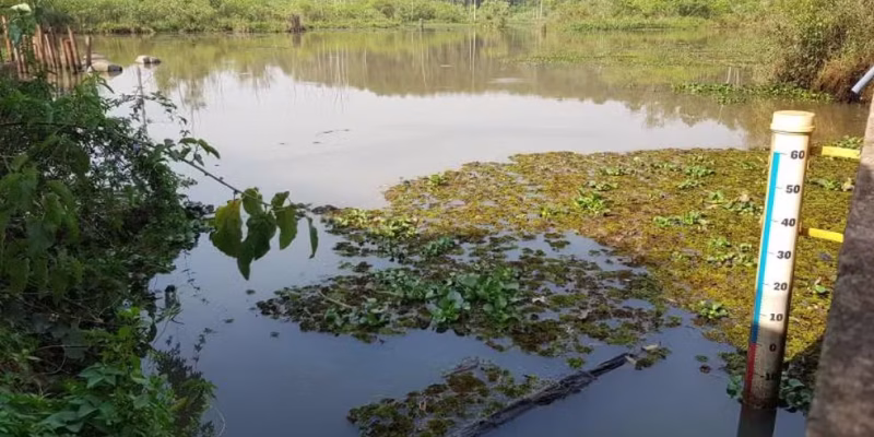 daae captacao eta 1 01