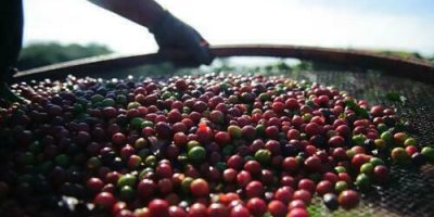 preodocafregistraquedanestasegunda feira4 0127352001730704507.jpeg