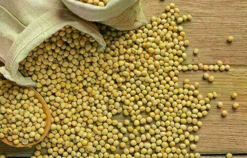 sacadesojaapresentaaltanopreonoparan 0528912001730704509.jpeg