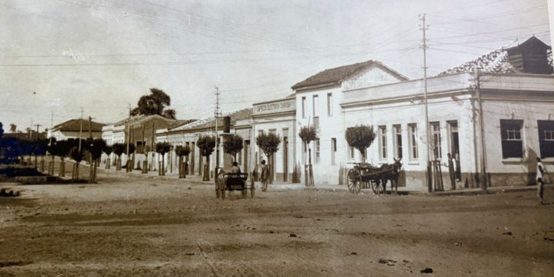 whatsapp image 2024 11 12 at 13.55.45