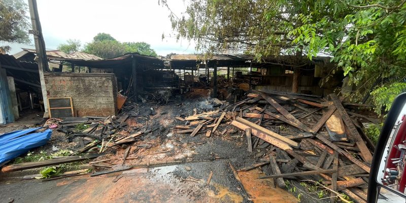 whatsapp image 2024 11 16 at 14.36.13