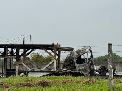 whatsapp image 2024 11 22 at 11.01.30