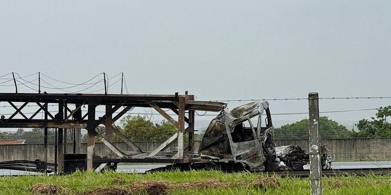 whatsapp image 2024 11 22 at 11.01.30