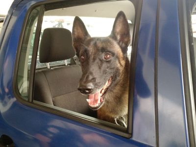 whatsapp image 2024 11 29 at 17.22.24 (1)