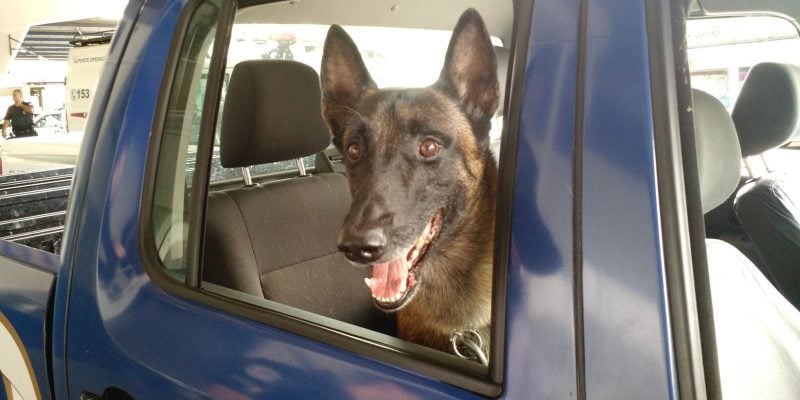 whatsapp image 2024 11 29 at 17.22.24 (1)