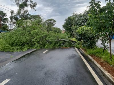 de7d5ac3 5734 4f7b b6ec 43ff1ddac9fa