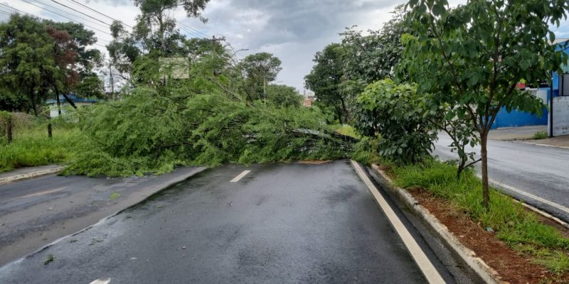 de7d5ac3 5734 4f7b b6ec 43ff1ddac9fa