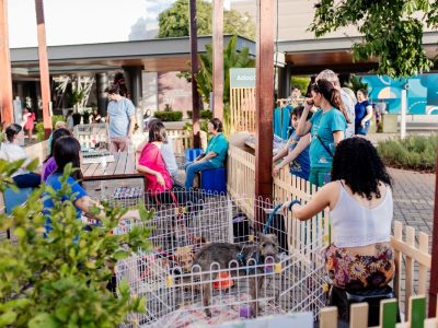 feira de adoção parque dom pedro