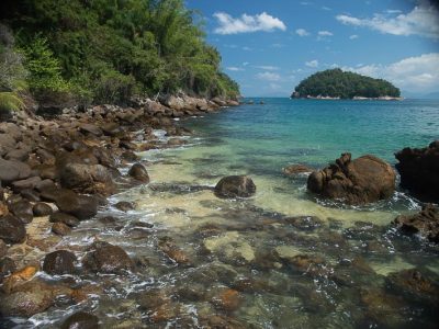 ilha das couves ubatuba