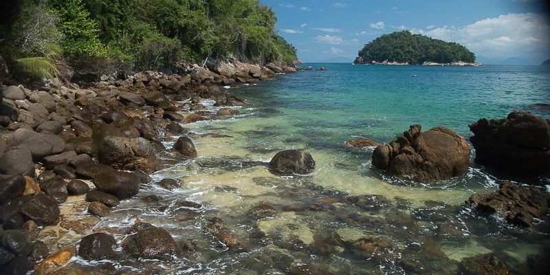 ilha das couves ubatuba