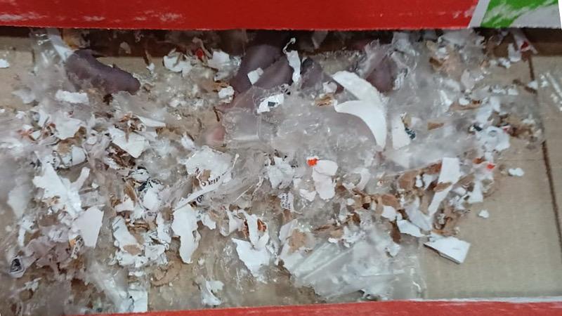 whatsapp image 2025 02 05 at 20.48.07