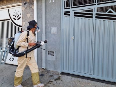 nebulização dengue