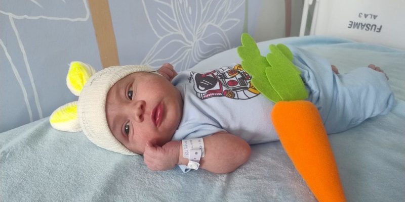 54453998961 29ad0d7c55 h