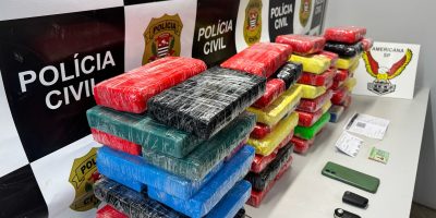 whatsapp image 2025 04 01 at 10.24.35