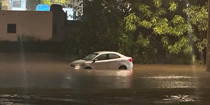 whatsapp image 2025 04 01 at 15.08.08