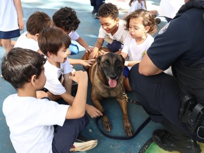 54498568622 244cc45b9d k