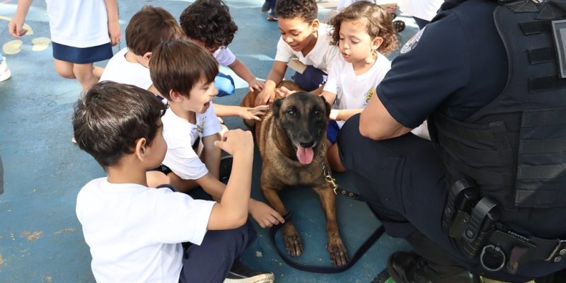 54498568622 244cc45b9d k