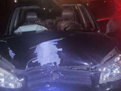 whatsapp image 2025 07 28 at 11.08.26