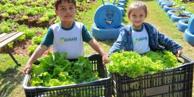 horta na escola sumare