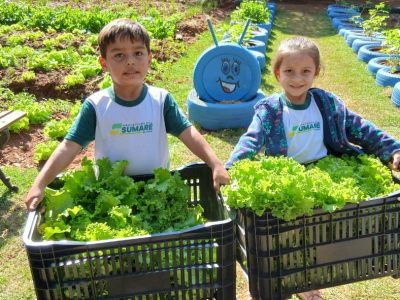 horta na escola sumare