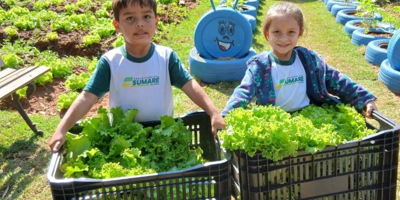 horta na escola sumare
