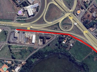 marginal anhanguera americana