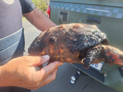 6f8cf151 7011 4b66 8cb7 e301500105b0