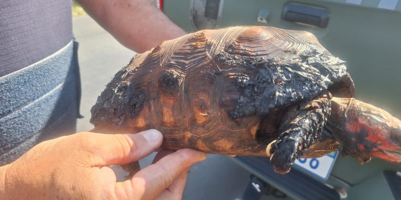 6f8cf151 7011 4b66 8cb7 e301500105b0