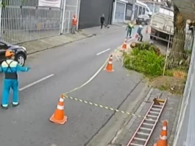 funcionario caiu antes de ficar prensado por tronco de arvore