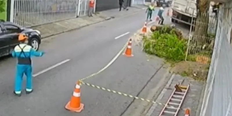 funcionario caiu antes de ficar prensado por tronco de arvore