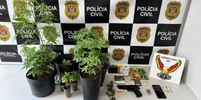 whatsapp image 2025 10 01 at 14.43.02