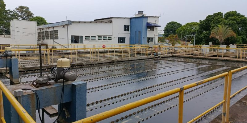 whatsapp image 2025 10 13 at 11.51.13