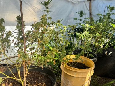 whatsapp image 2025 10 22 at 19.18.51