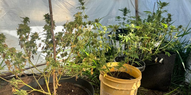 whatsapp image 2025 10 22 at 19.18.51