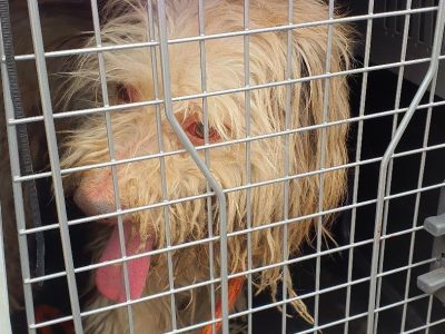 whatsapp image 2025 12 09 at 14.38.30