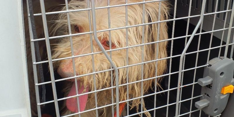 whatsapp image 2025 12 09 at 14.38.30